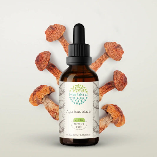 HerbEra Agaricus Blazei Tincture