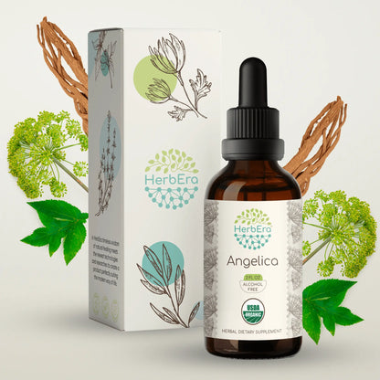 HerbEra Angelica Tincture