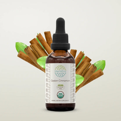 HerbEra Ceylon Cinnamon Tincture