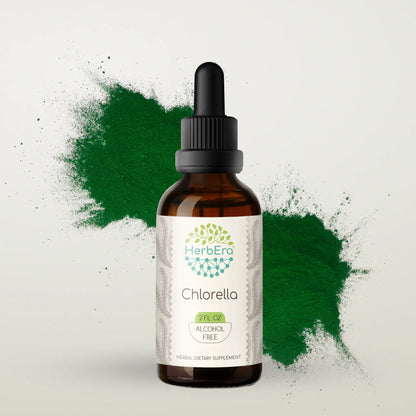HerbEra Chlorella Tincture