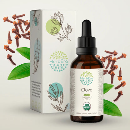 HerbEra Clove Tincture