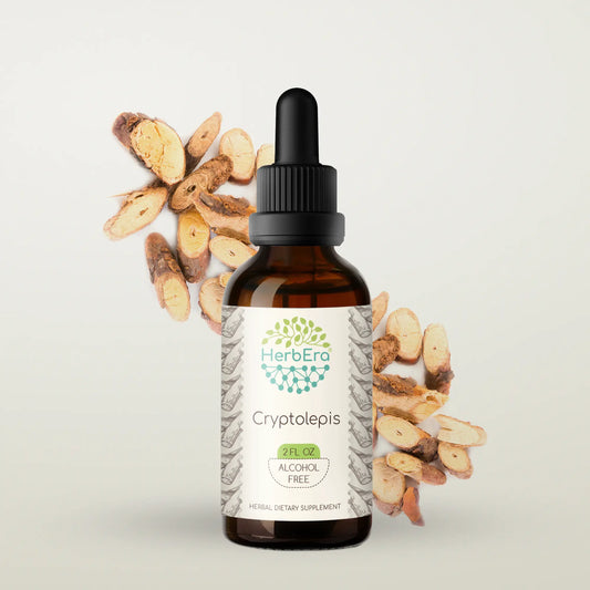HerbEra Cryptolepis Tincture