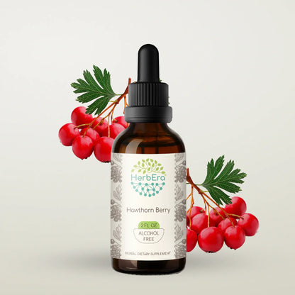 HerbEra Hawthorn Berry Tincture