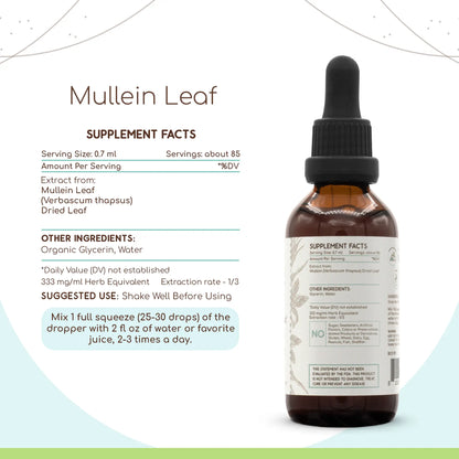 HerbErea Mullein Leaf Tincture