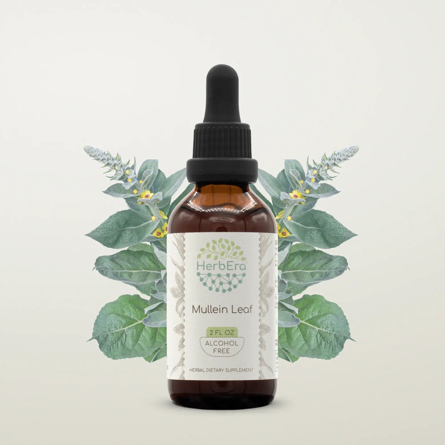 HerbErea Mullein Leaf Tincture