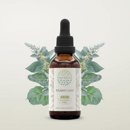 HerbErea Mullein Leaf Tincture