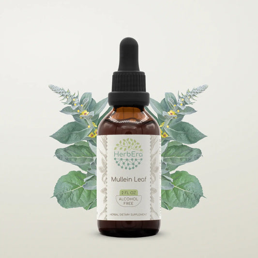 HerbErea Mullein Leaf Tincture