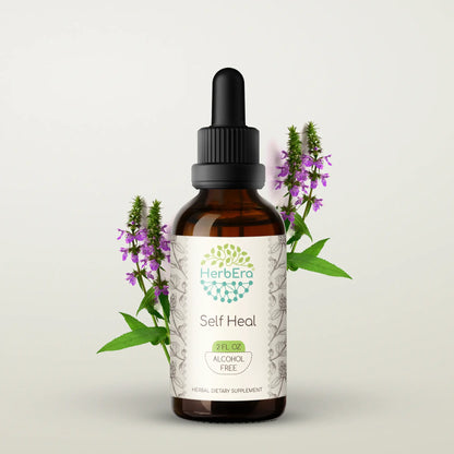 HerbEra Self Heal Tincture
