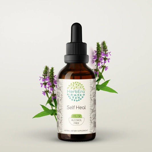 HerbEra Self Heal Tincture