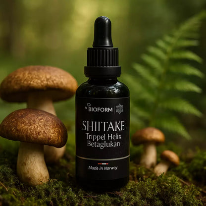 Shiitake Beta-Glucan (Tripple Helix Structure)