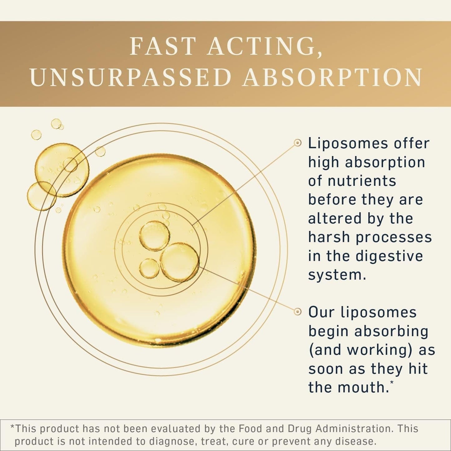 The One - liposomal energy supplement for mitochondria