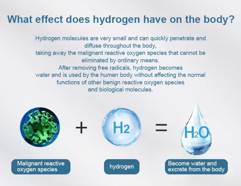 Uno Vita's H2 Water Bottle + Zerowater bundle